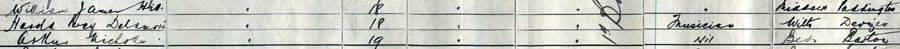 1911 census delamore