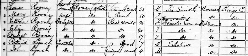 1901 census lynch