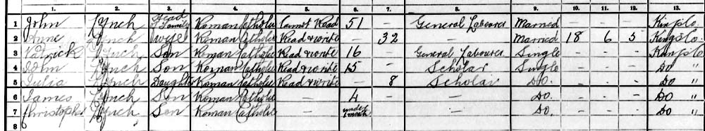 1911 census lynch