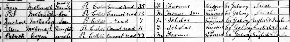 1901 census